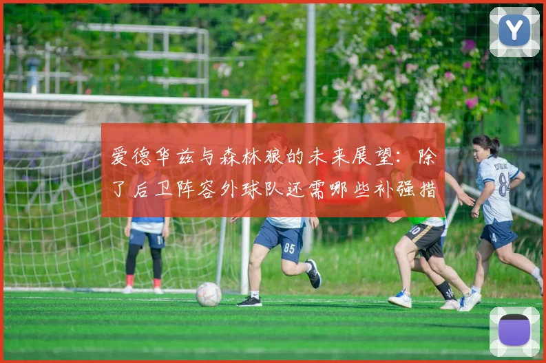 爱德华兹与森林狼的未来展望：除了后卫阵容外球队还需哪些补强措施