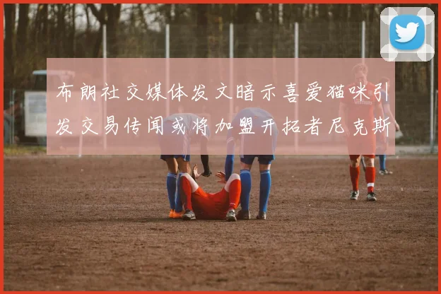 布朗社交媒体发文暗示喜爱猫咪引发交易传闻或将加盟开拓者尼克斯雷霆湖人